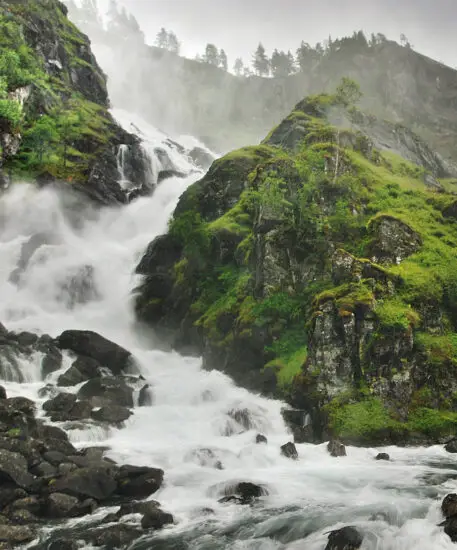 HEGEL H120 Music System