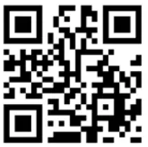 HEGEL H95 Integrated Amplifier - Network status 1