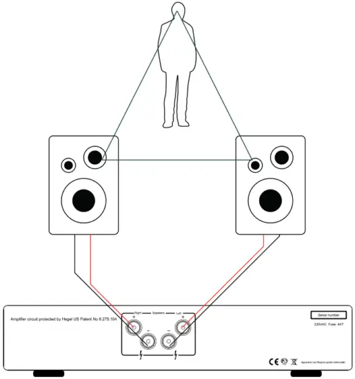 HEGEL H95 Integrated Amplifier - speakers