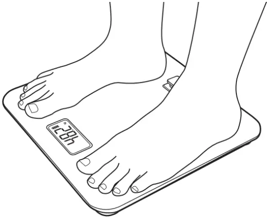 Brabantia ReNew Digitale personenweegschaal - FIG 3