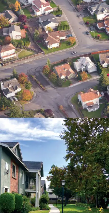 contrapest -EVO -Express -Residential -Pest -Control -5