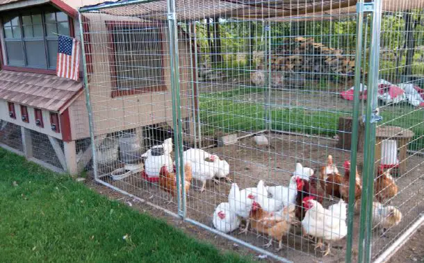 contrapest -EVO -Express -Residential -Pest -Control -6