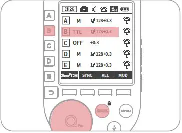 NEEWER Pro-C TTL Wireless Flash Trigger-19