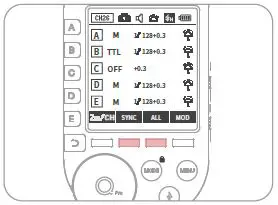 NEEWER Pro-C TTL Wireless Flash Trigger-29