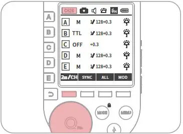 NEEWER Pro-C TTL Wireless Flash Trigger-33