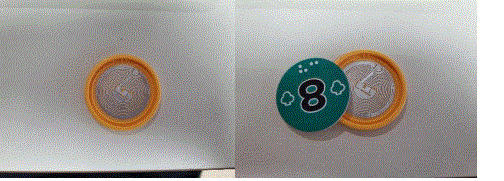 Rolling Seeds RSMS01 Device 10