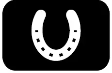 MINELAB VANQUISH 340 Metal Detector 14