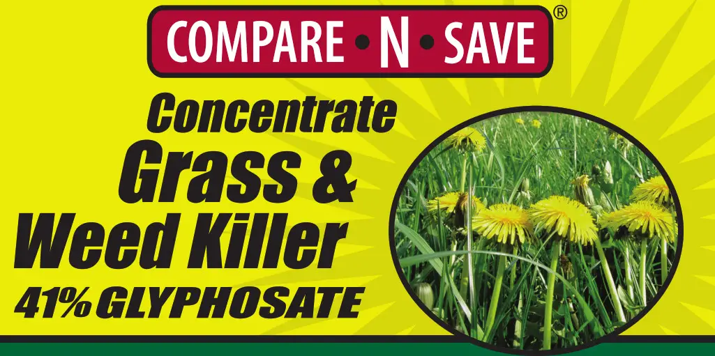 Ragan and Massey Concentrate Grass -