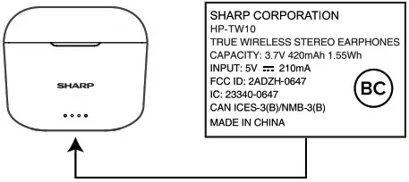 SHARP HP-TW10 True Wireless Stereo Earphones - Precautions