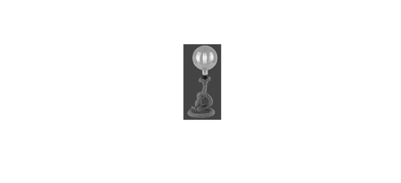 Paul Neuhaus 15480 Table Lamp Instruction Manual