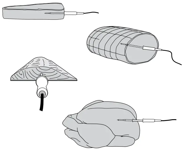 Thermometer Placement