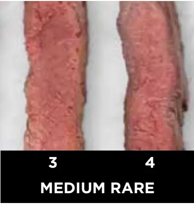 Ninja Beef Doneness Guide