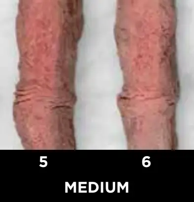 Ninja Beef Doneness Guide