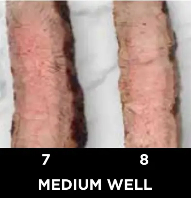 Ninja Beef Doneness Guide