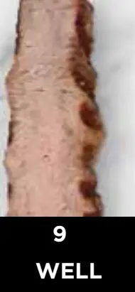 Ninja Beef Doneness Guide