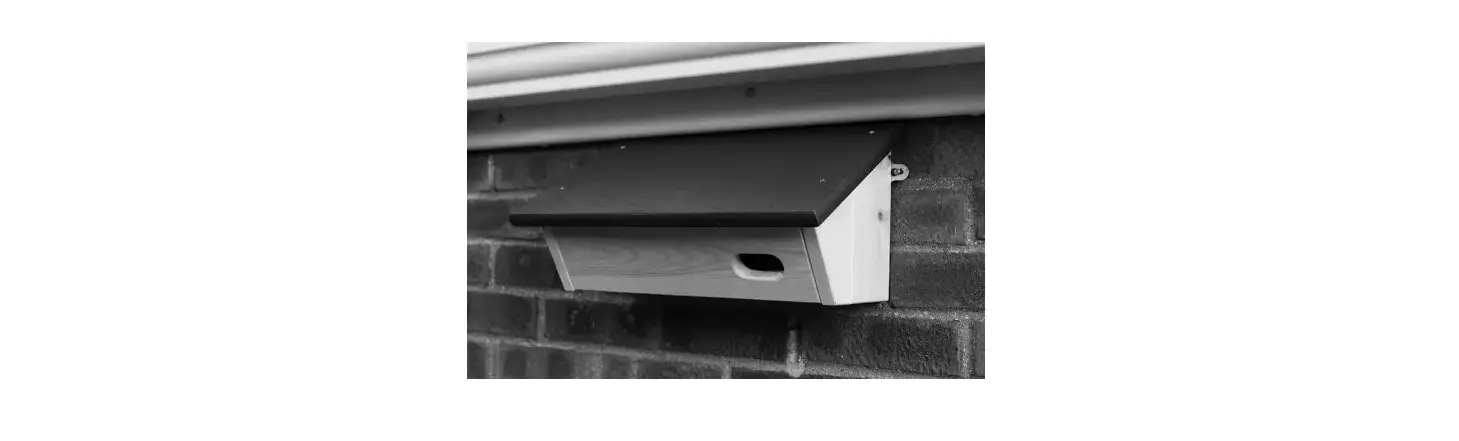 Rspb Swift Nest Box Instructions