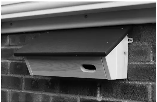RSPB Swift Nest Box Instructions-FIG1