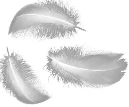 RSPB Swift Nest Box Instructions-FIG2