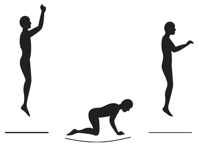 SKYWALKER SWJD15 TRAMPOLINES-fig-53