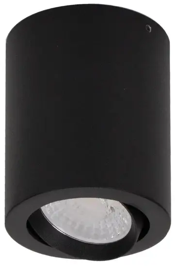 DOMUS NEO-10-SM-TILT Surface Mount Tiltable LED Dimmable Downlight