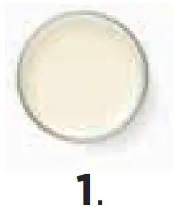 NINJA CB100UK Power Nutri Blender 2-in-1 -Add milk