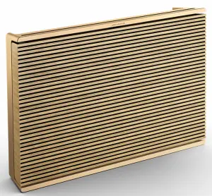 BANG OLUFSEN Beosound Level Portable Wireless Speaker