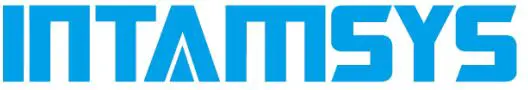 INTAMSYS logo