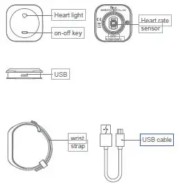 fino-F2026-Heart-Rate-Bracelet-FIG1