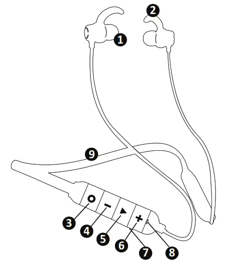 TARBULL MusicMate 550 - KNOW YOUR PRODUCT