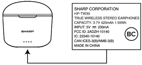 SHARP HP-TW30 True Wireless Stereo Earphones - Precautions