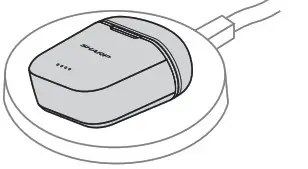 SHARP HP-TW30 True Wireless Stereo Earphones - Wireless charging