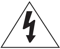 Warning Icon