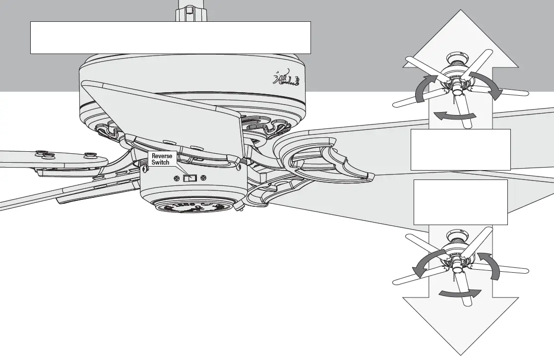 Hunter-53320-Newsome-52-Inch-Premier-Bronze-Ceiling-Fan-FIG-22