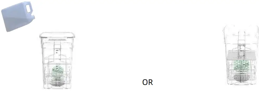 Any cibuc Wash & Cure