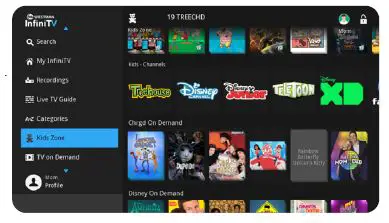 InfiniTV Amino Remote Controller FIG 10