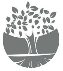 GRUNDIG HS 7031 Hair Styler Straight and Curls - Responsible