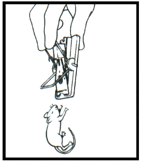 JULA 717-028 Rat Trap - Fig 3