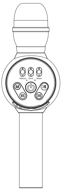tech inc H10 Karaoke Microphone -