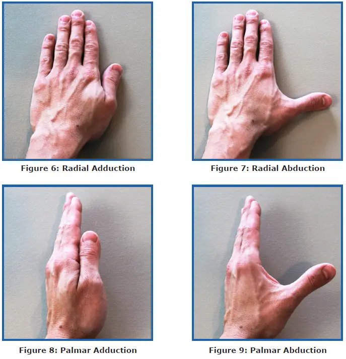 SaeboStretch-Dynamic-Hand-Splint-FIG-3