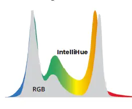 COLORKINETICS-Burst-Light-2