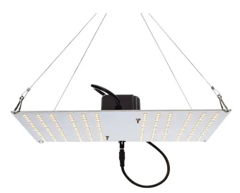 HLG 100 R Spec LED Veg Grow Light -