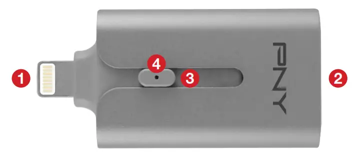 PNY - Physical Descriptions