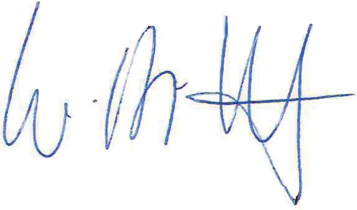 MODSTER Easy Trainer 800 -Walter Bittdorfer