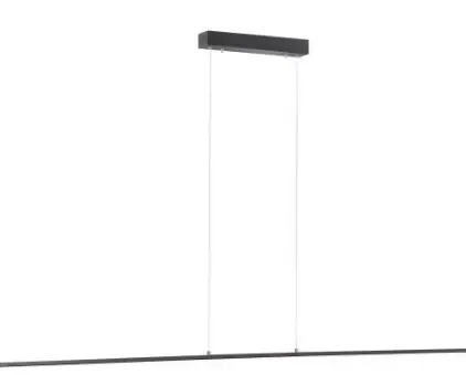 Paul-Neuhaus-8375-LED-Pendant-Light-Instruction-Manual-logo