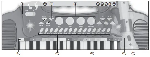 BONTEMPI 13 3240 13 3671 Electronic Keyboard - fig2