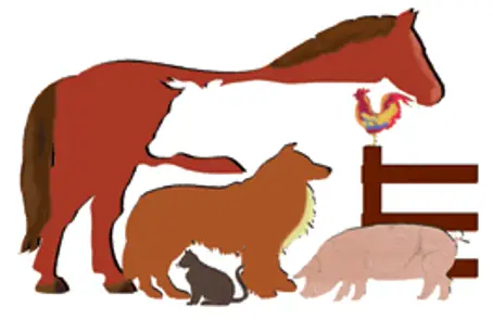 FDA 1243 5741 Center For Veterinary Medicine Program Policy