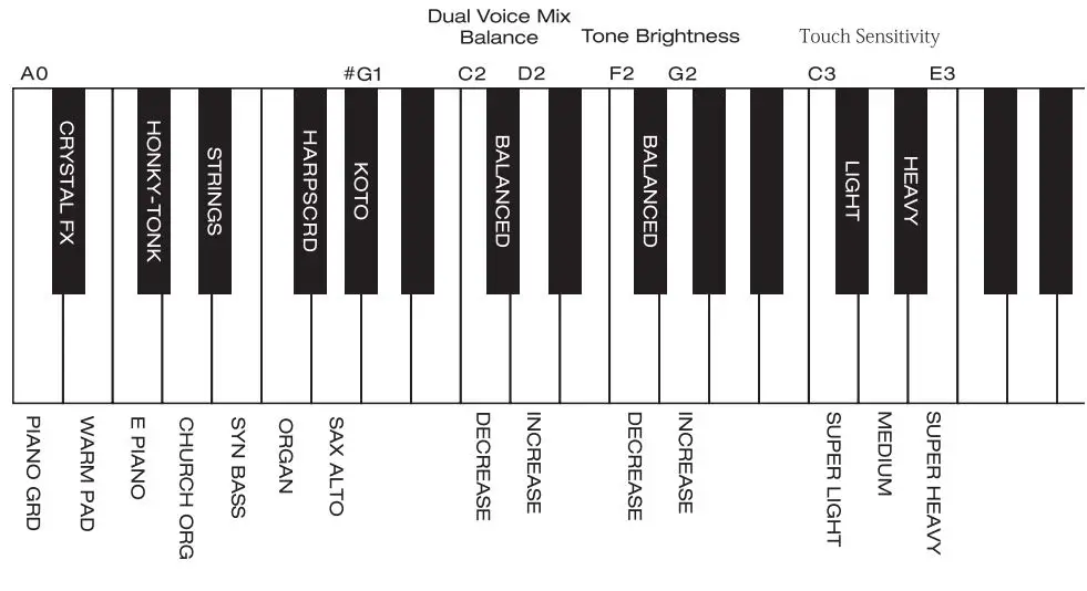 NUX NPK-10 Portable Digital Piano User Manual - Grand Piano button + Keys