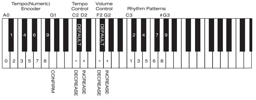 NUX NPK-10 Portable Digital Piano User Manual - Metronome button + Keys