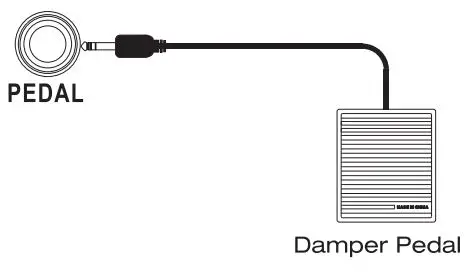 NUX NPK-10 Portable Digital Piano User Manual - Using a Damper Pedal