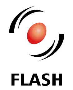 FLASH P-logo